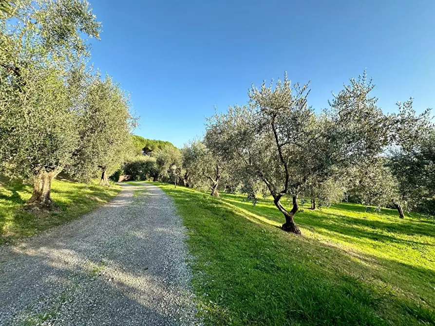 Immagine 45 di Villa in vendita  a Lucca