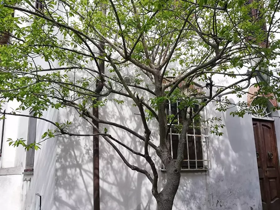 Immagine 32 di Casa indipendente in vendita  a Lucca