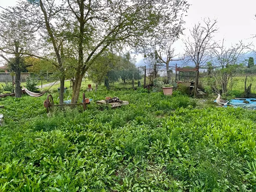 Immagine 1 di Terreno agricolo in vendita  a Castelnuovo Berardenga