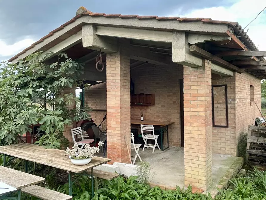 Immagine 3 di Terreno agricolo in vendita  a Castelnuovo Berardenga
