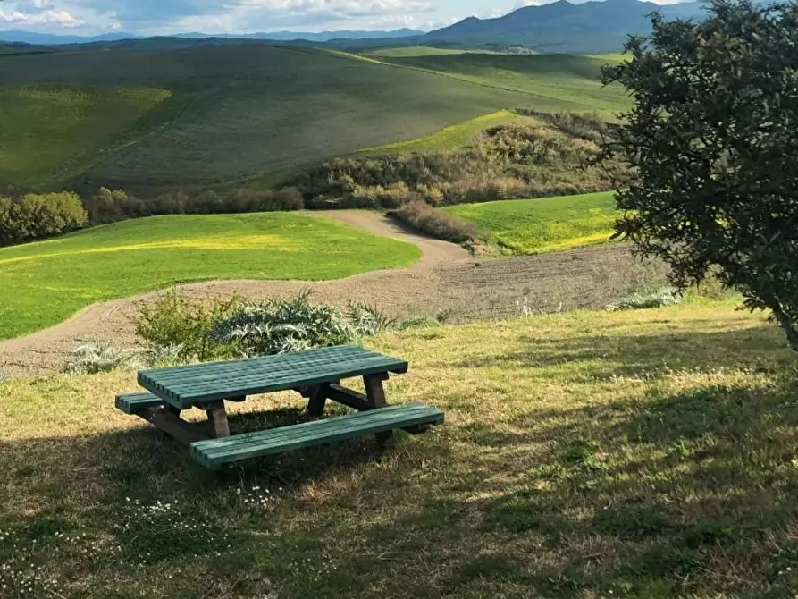 Immagine 1 di Terreno agricolo in vendita  a Peccioli