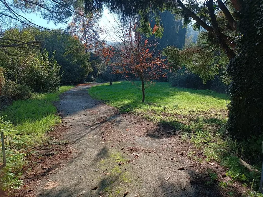 Immagine 30 di Villa in vendita  a Castelnuovo Di Garfagnana