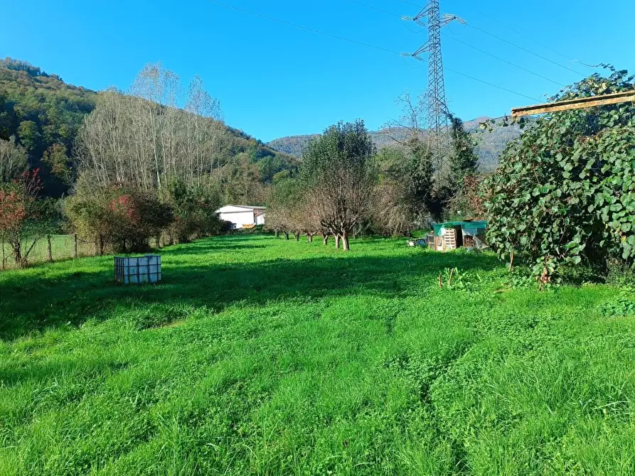 Immagine 29 di Villa in vendita  a Castelnuovo Di Garfagnana