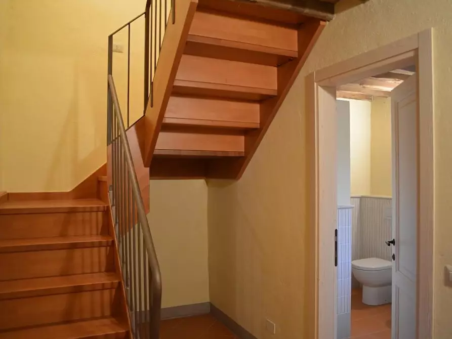 Immagine 25 di Casa colonica in vendita  a Casole D'elsa