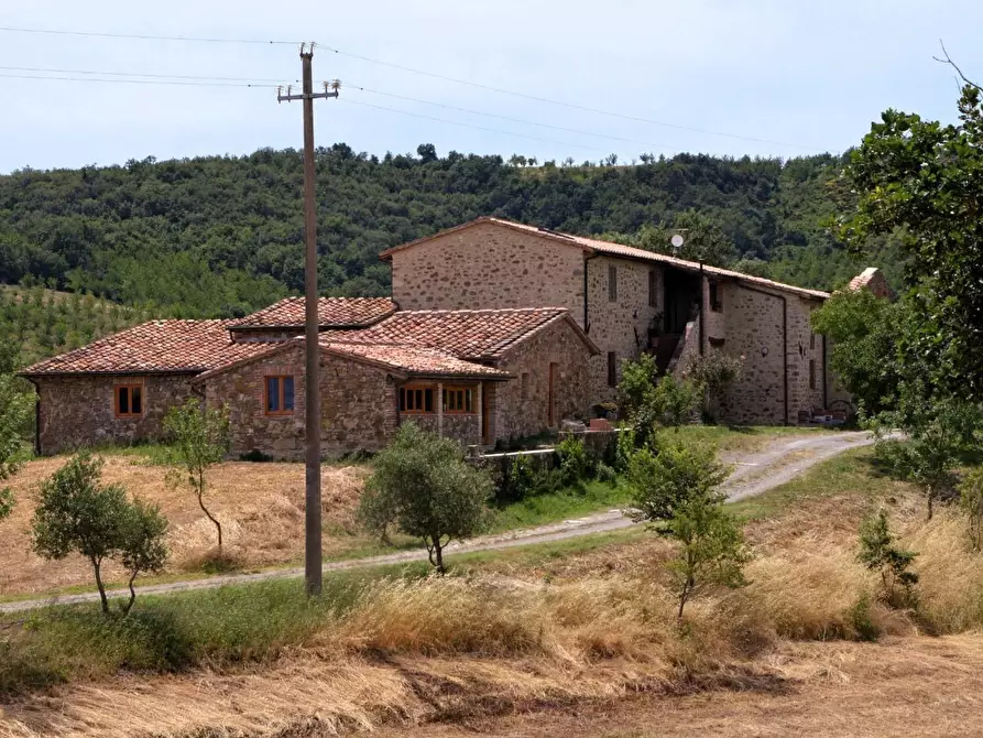 Immagine 1 di Casa colonica in vendita  a Casole D'elsa