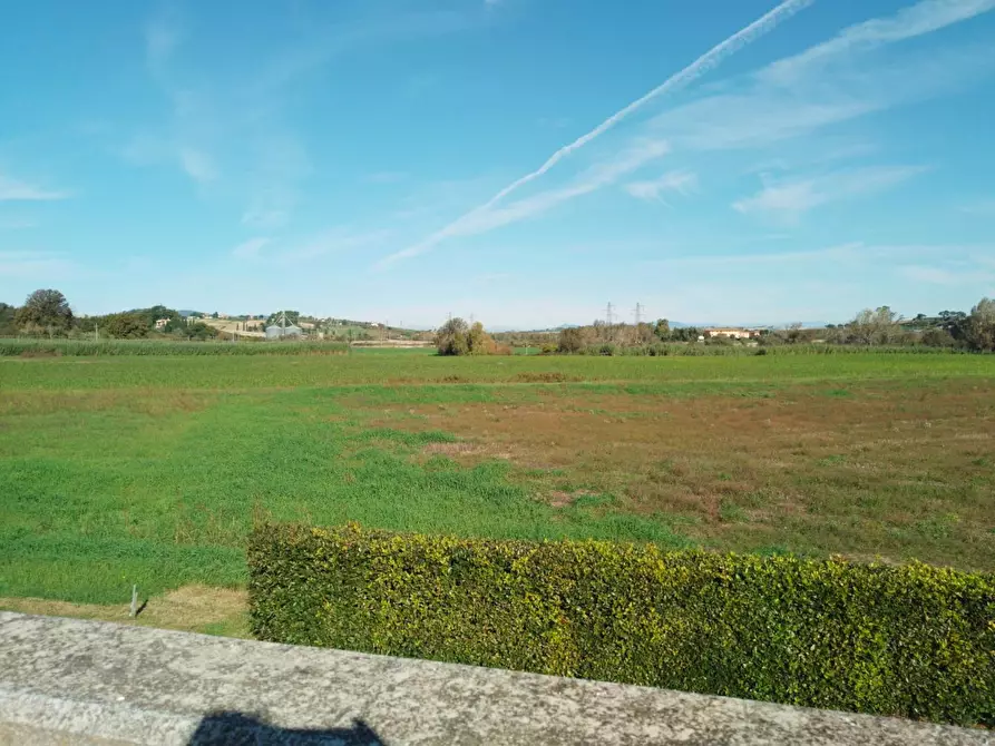 Immagine 29 di Porzione di casa in vendita  a Rosignano Marittimo