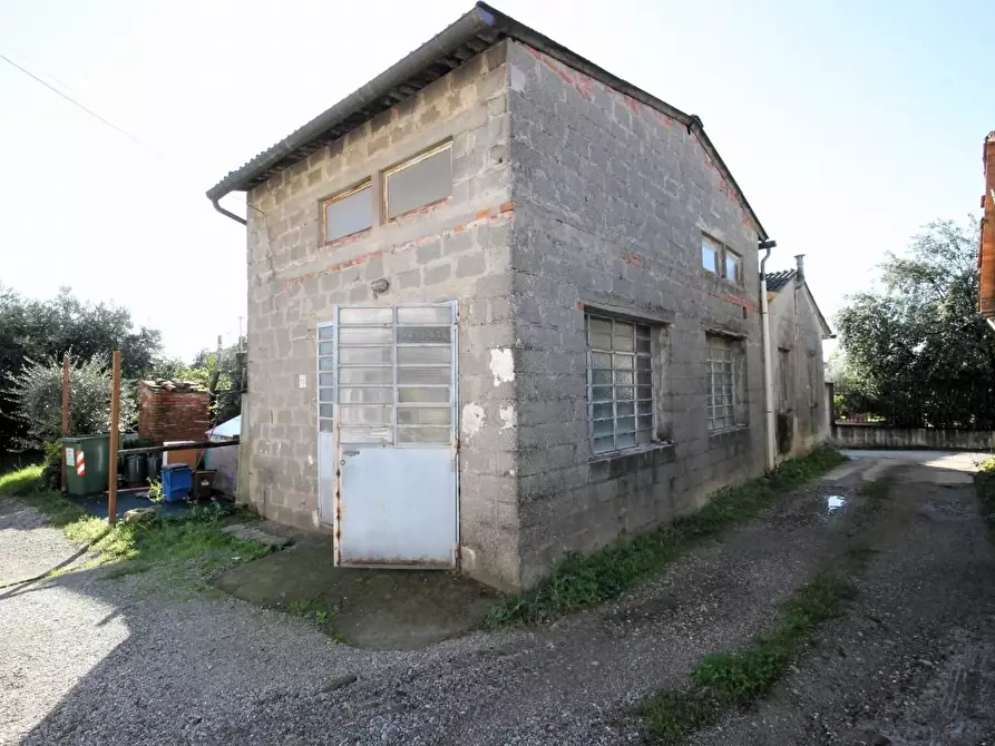 Immagine 13 di Terratetto in vendita  a Capannori