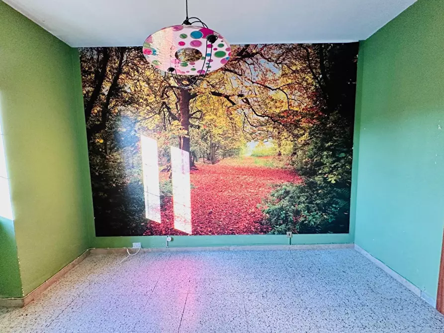 Immagine 4 di Appartamento in vendita  a Pisa