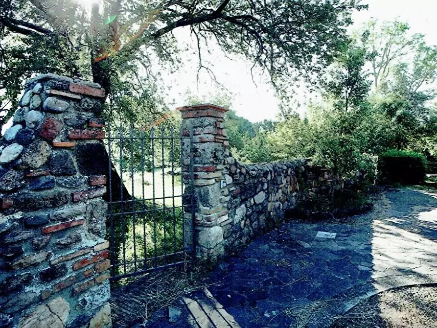 Immagine 12 di Casa colonica in vendita  a Monticiano