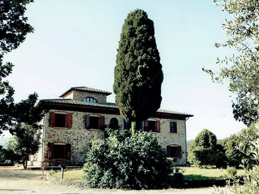 Immagine 18 di Casa colonica in vendita  a Monticiano