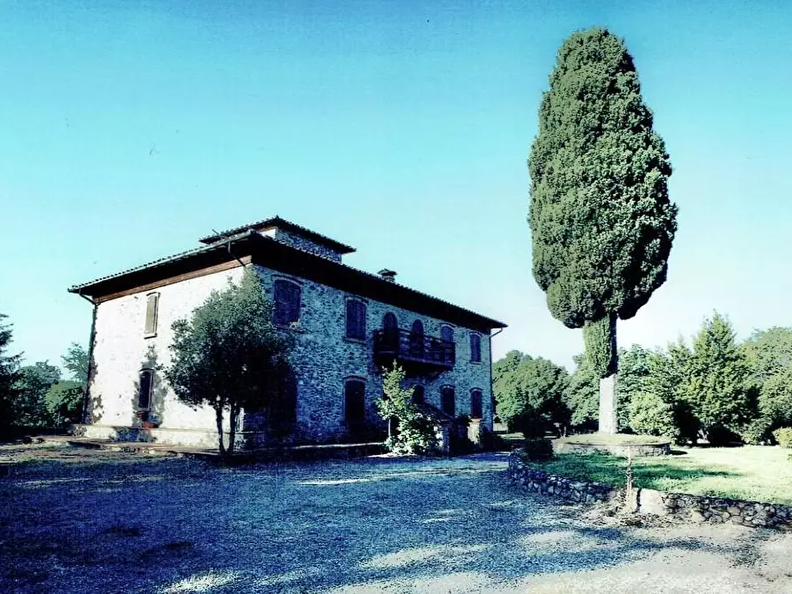 Immagine 26 di Casa colonica in vendita  a Monticiano