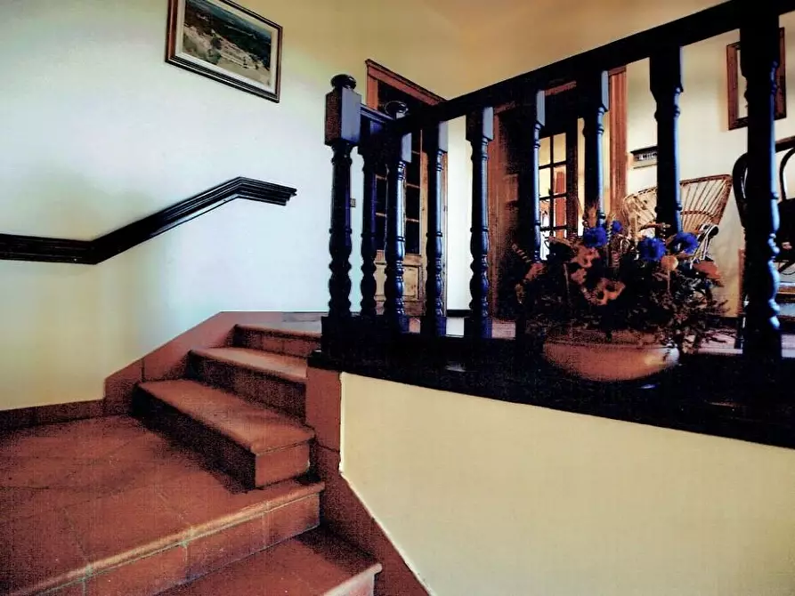 Immagine 15 di Casa colonica in vendita  a Monticiano
