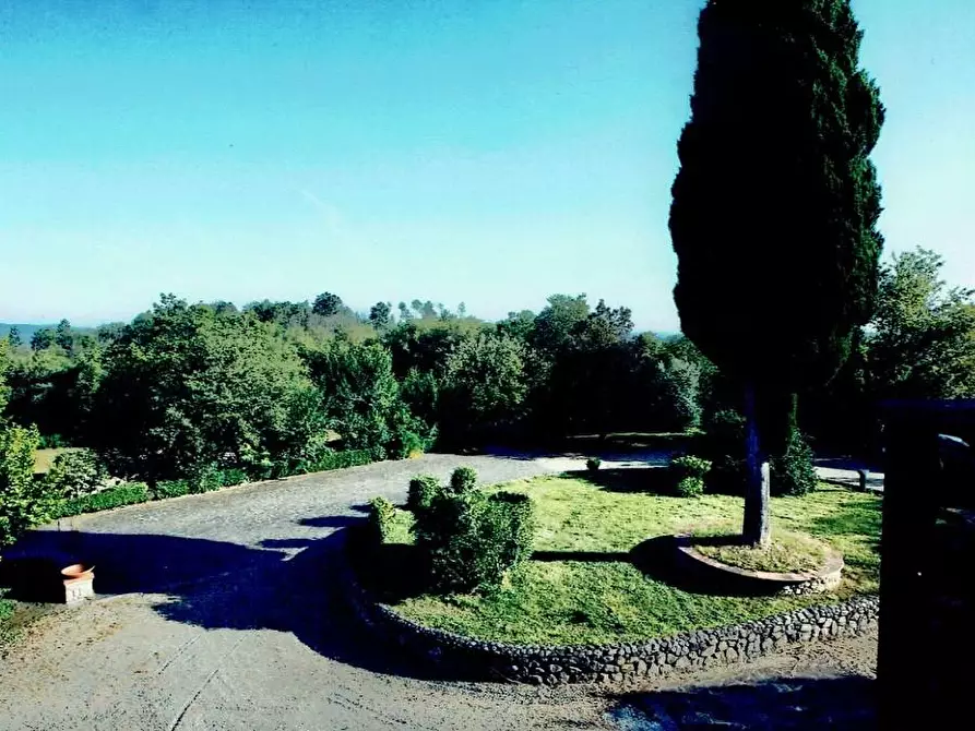 Immagine 16 di Casa colonica in vendita  a Monticiano