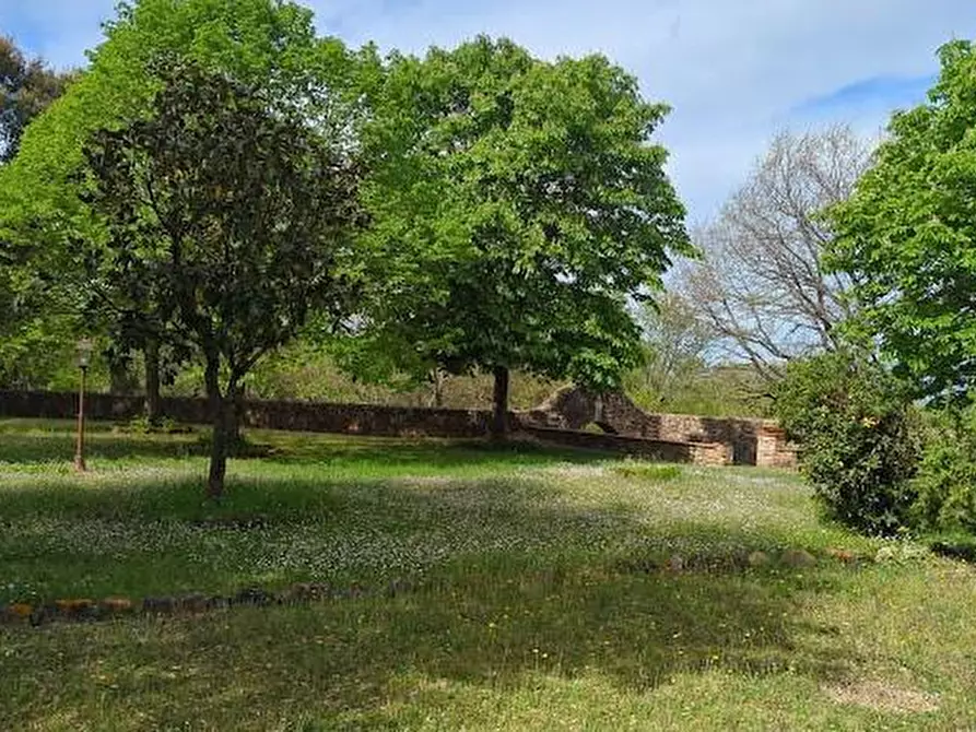 Immagine 25 di Casa colonica in vendita  a Monticiano