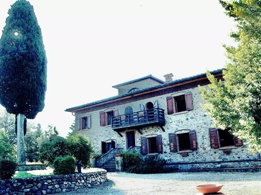 Immagine 19 di Casa colonica in vendita  a Monticiano