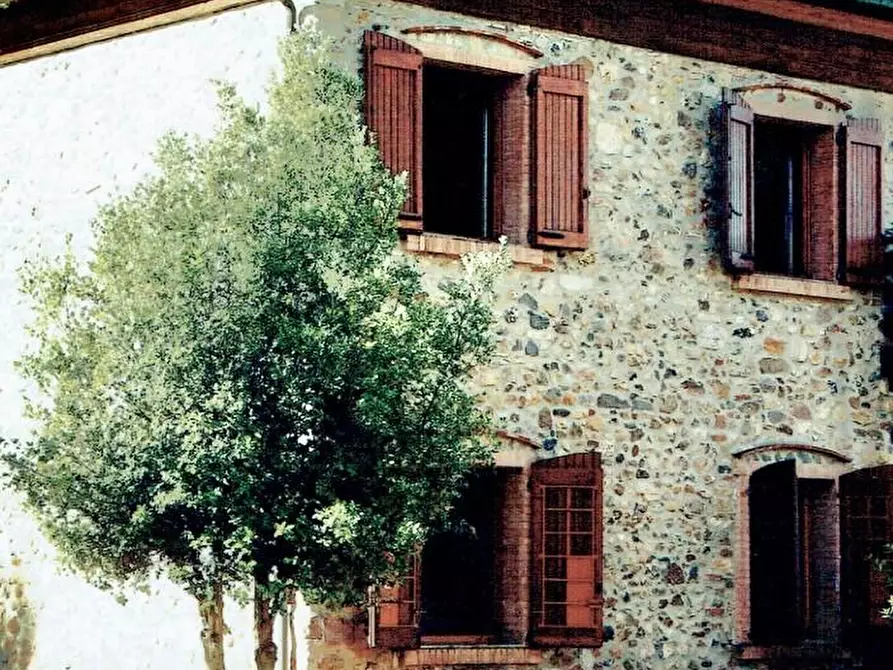 Immagine 28 di Casa colonica in vendita  a Monticiano