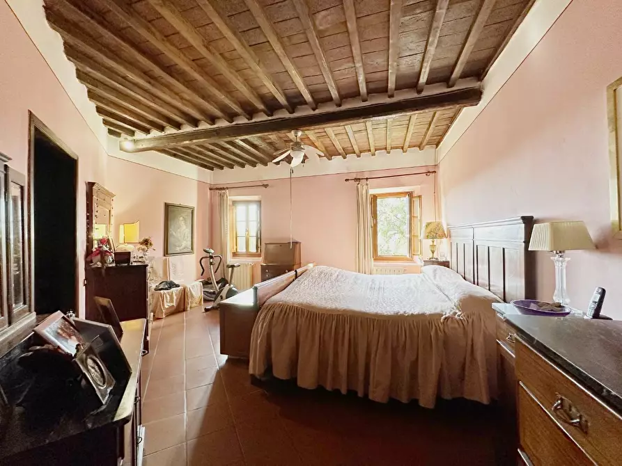 Immagine 20 di Casa colonica in vendita  a Montecarlo