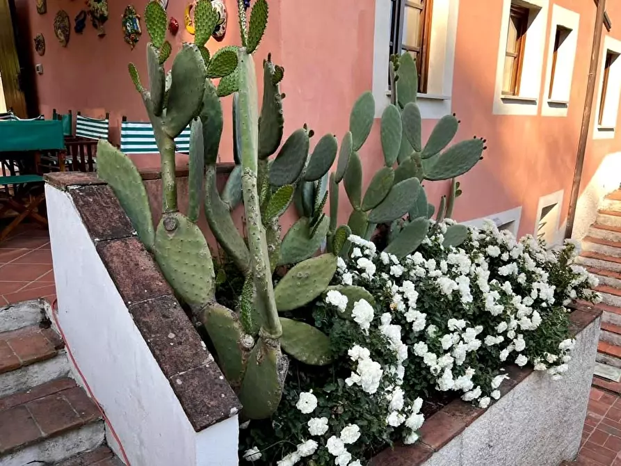 Immagine 45 di Casa colonica in vendita  a Montecarlo