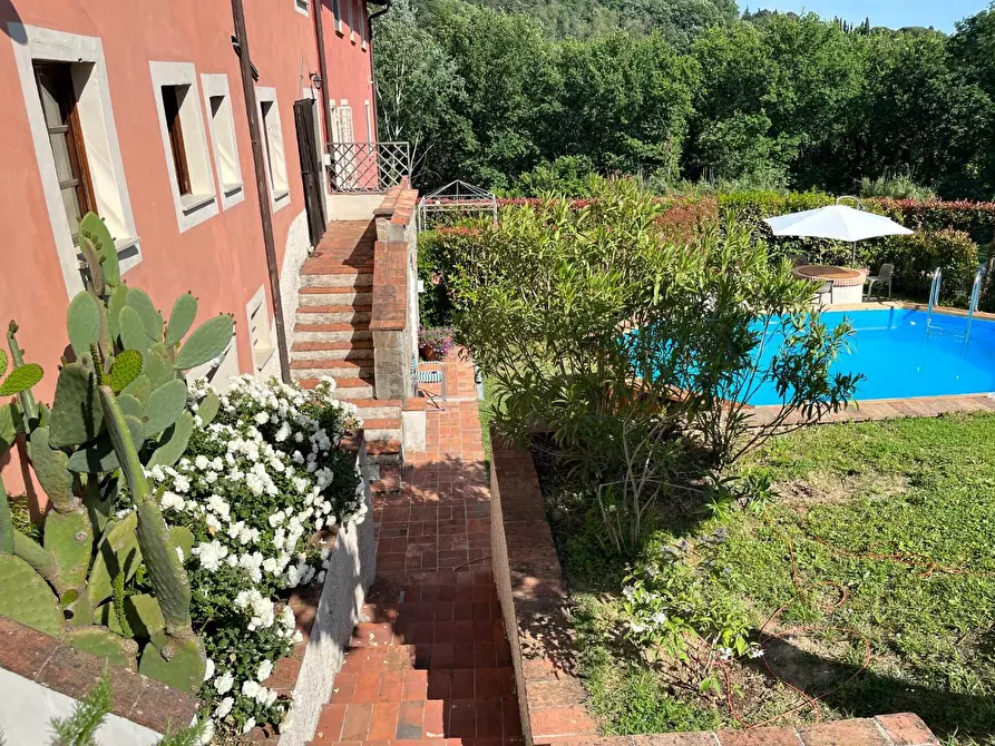 Immagine 49 di Casa colonica in vendita  a Montecarlo