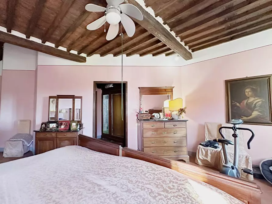 Immagine 23 di Casa colonica in vendita  a Montecarlo