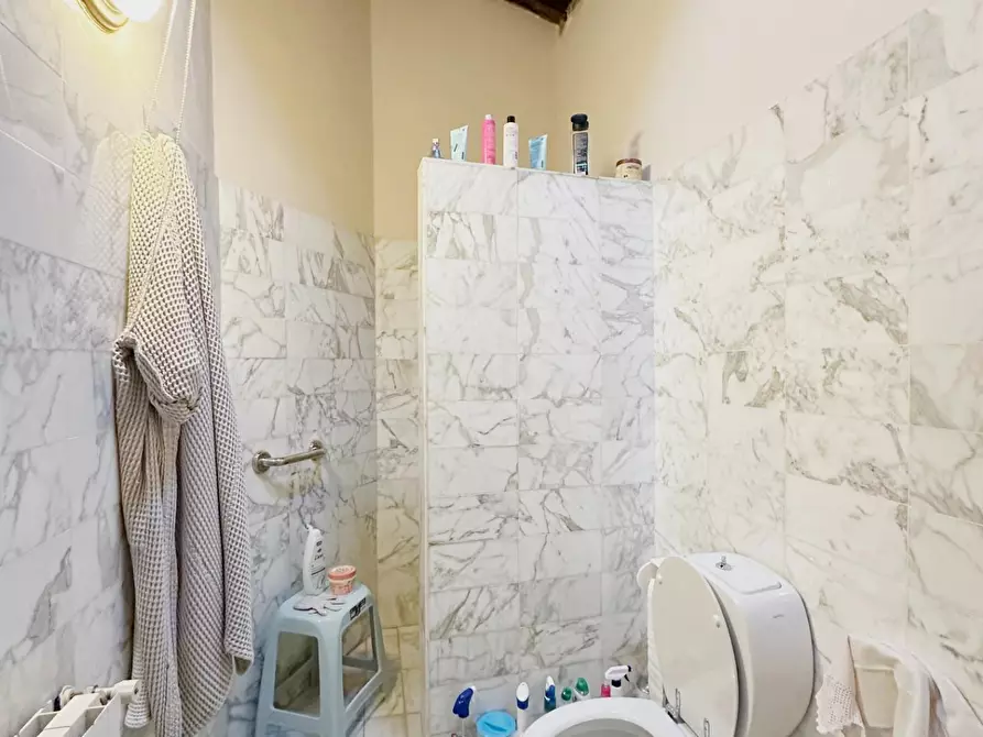 Immagine 24 di Casa colonica in vendita  a Montecarlo