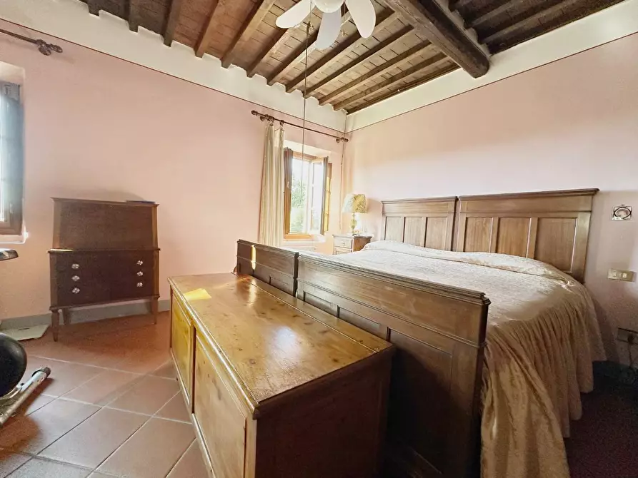 Immagine 21 di Casa colonica in vendita  a Montecarlo