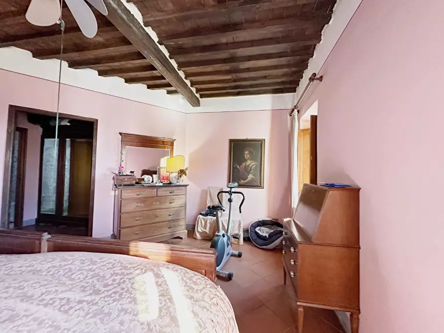 Immagine 22 di Casa colonica in vendita  a Montecarlo