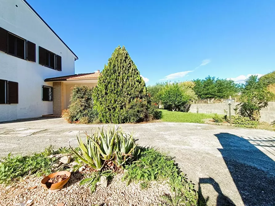 Immagine 37 di Casa bifamiliare in vendita  a Cascina