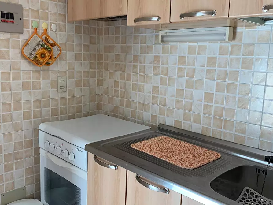 Immagine 11 di Appartamento in vendita  a Bibbona