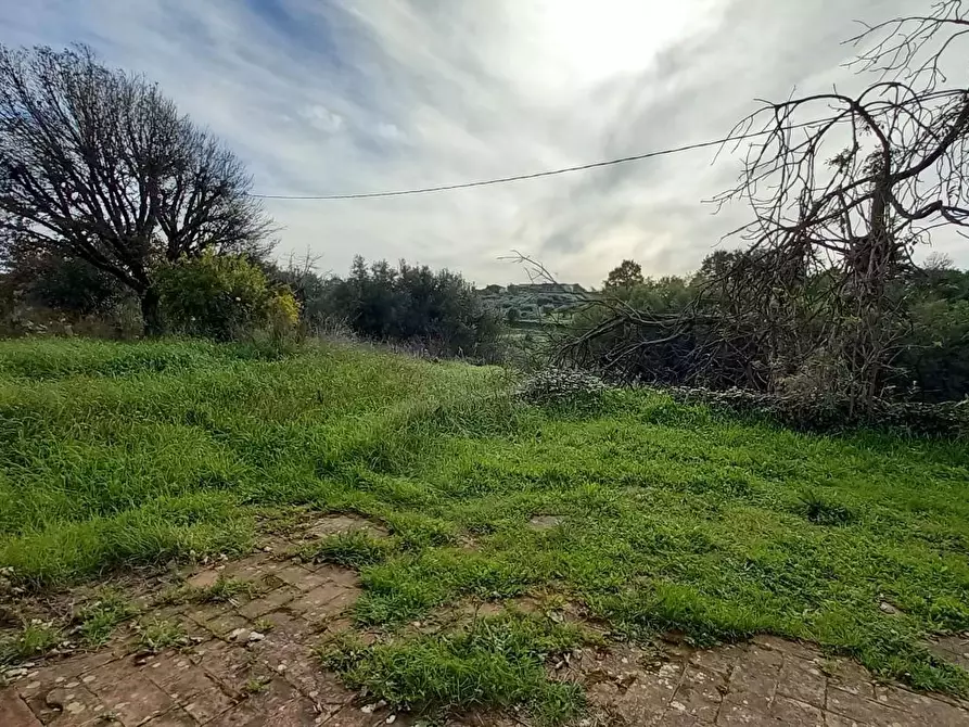 Immagine 7 di Porzione di casa in vendita  a Santa Maria A Monte