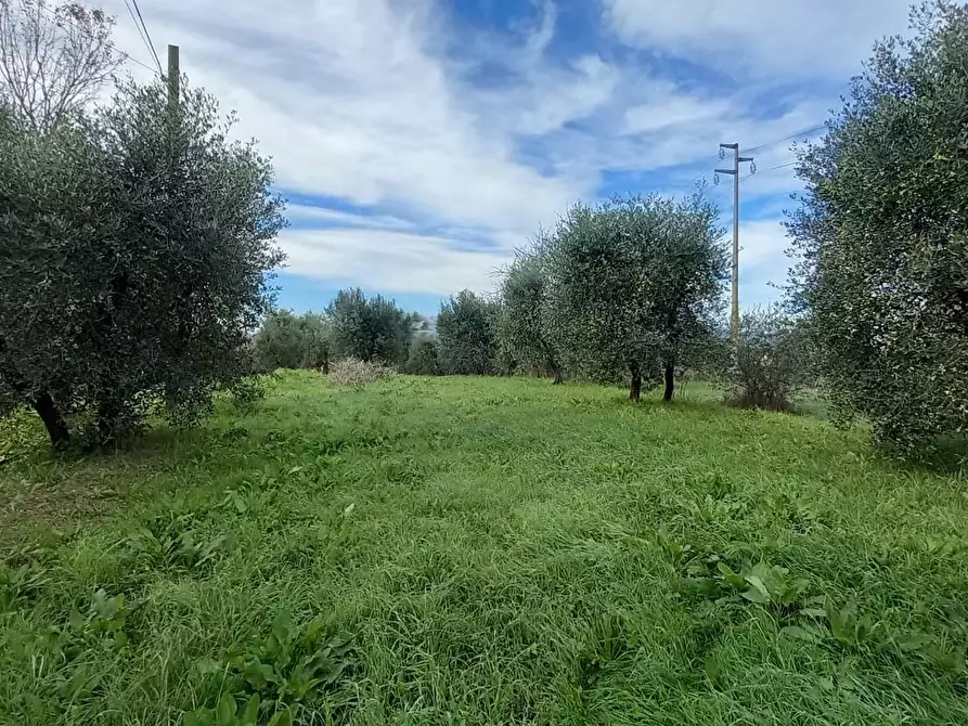 Immagine 11 di Porzione di casa in vendita  a Santa Maria A Monte