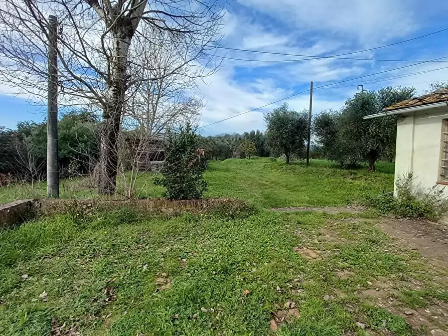Immagine 3 di Porzione di casa in vendita  a Santa Maria A Monte