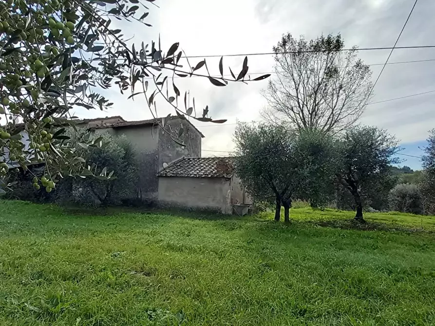 Immagine 1 di Porzione di casa in vendita  a Santa Maria A Monte