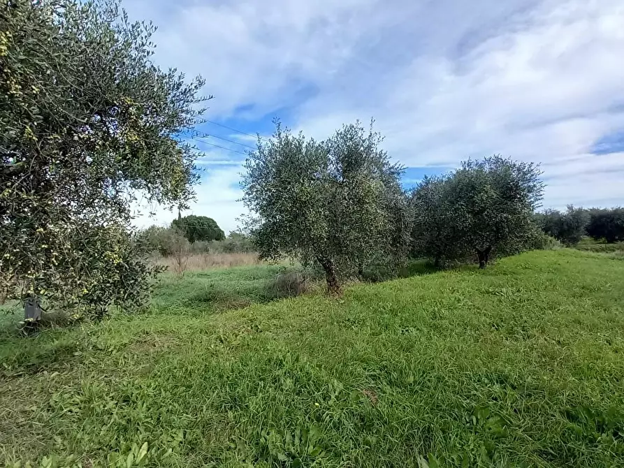 Immagine 9 di Porzione di casa in vendita  a Santa Maria A Monte