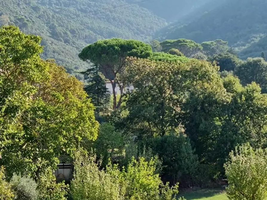 Immagine 7 di Appartamento in vendita  a San Giuliano Terme