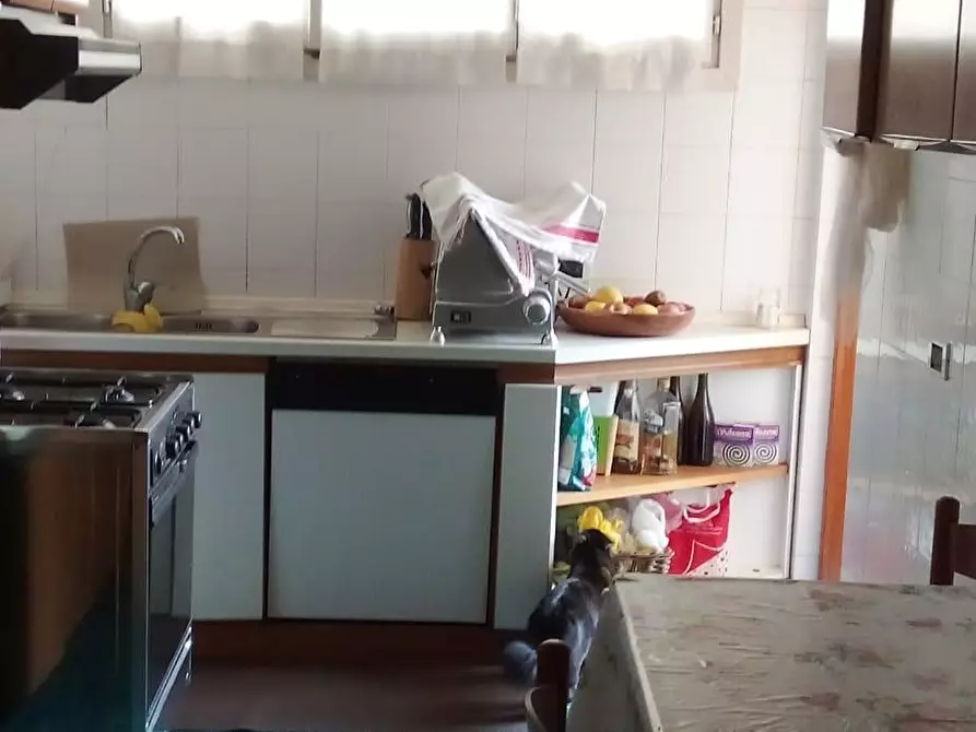 Immagine 10 di Appartamento in vendita  a Carrara