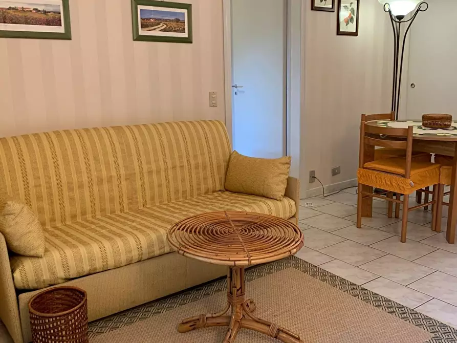 Immagine 3 di Appartamento in vendita  a Bibbona