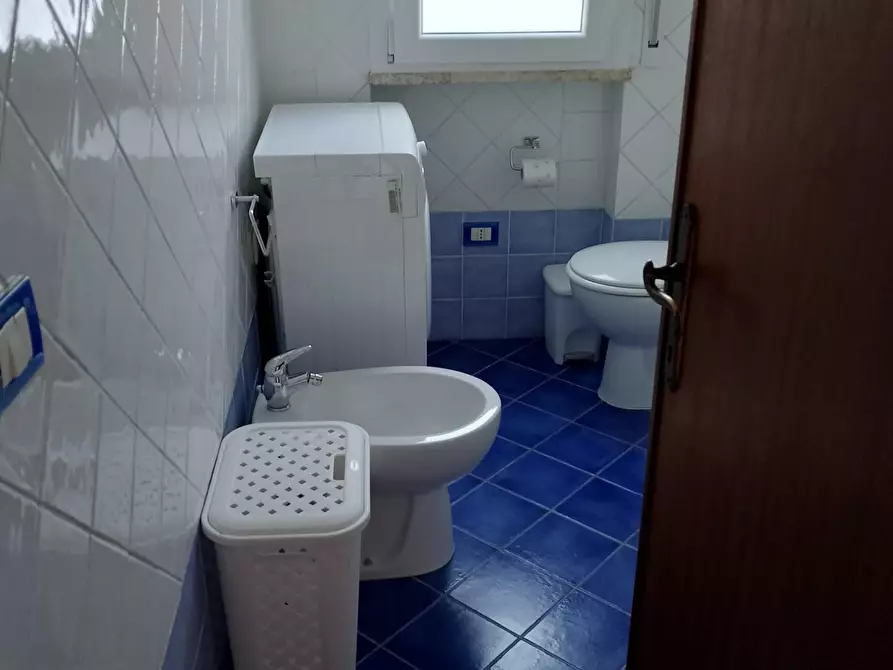 Immagine 36 di Appartamento in affitto  a Rosignano Marittimo