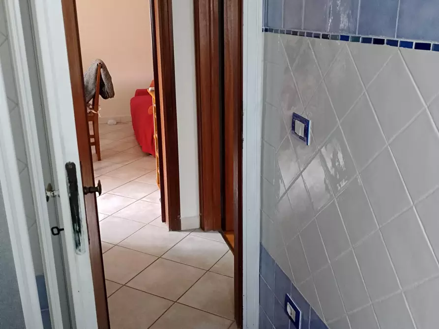 Immagine 35 di Appartamento in affitto  a Rosignano Marittimo