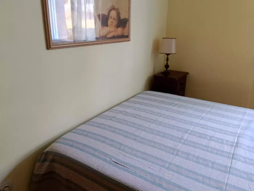 Immagine 23 di Appartamento in affitto  a Rosignano Marittimo