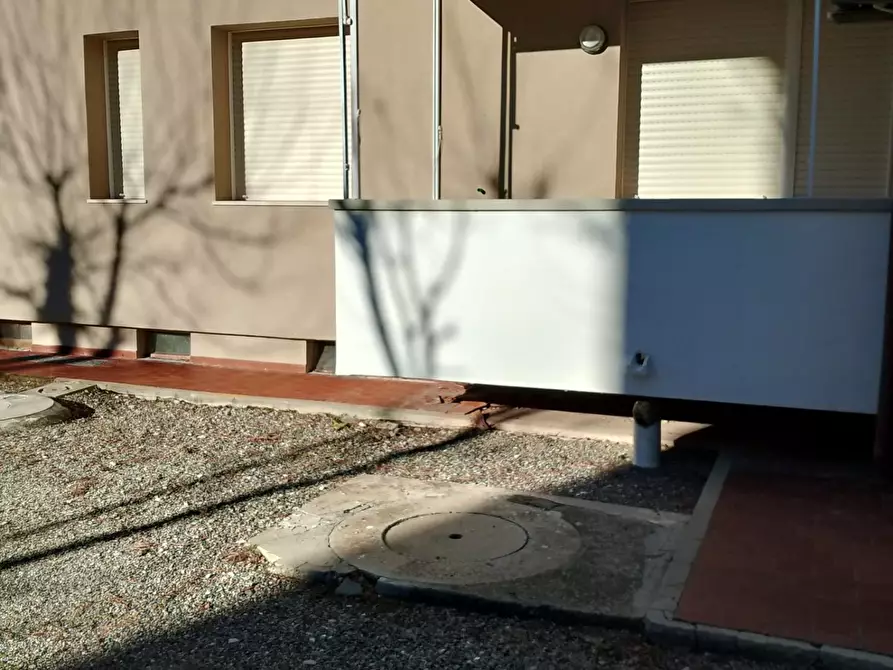 Immagine 38 di Appartamento in affitto  a Rosignano Marittimo