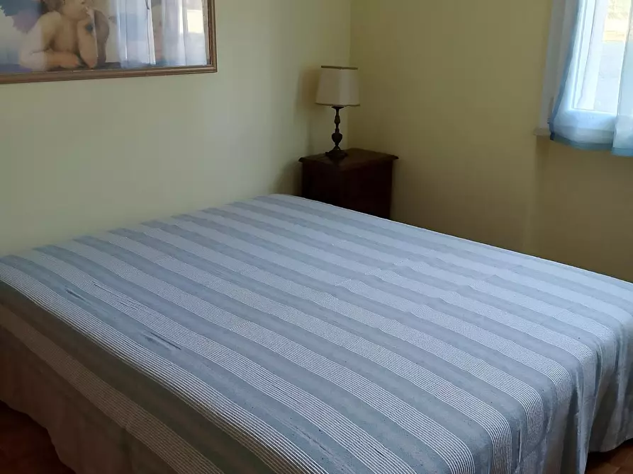 Immagine 30 di Appartamento in affitto  a Rosignano Marittimo