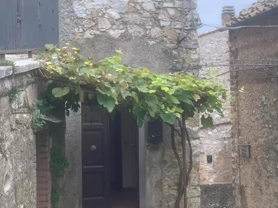 Immagine 2 di Appartamento in vendita  a Semproniano