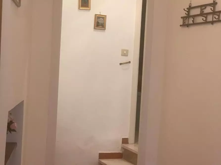 Immagine 4 di Appartamento in vendita  a Semproniano