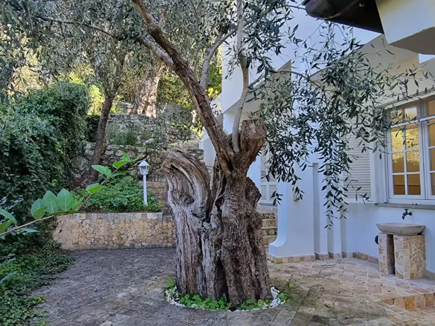 Immagine 34 di Villa in vendita  a San Giuliano Terme