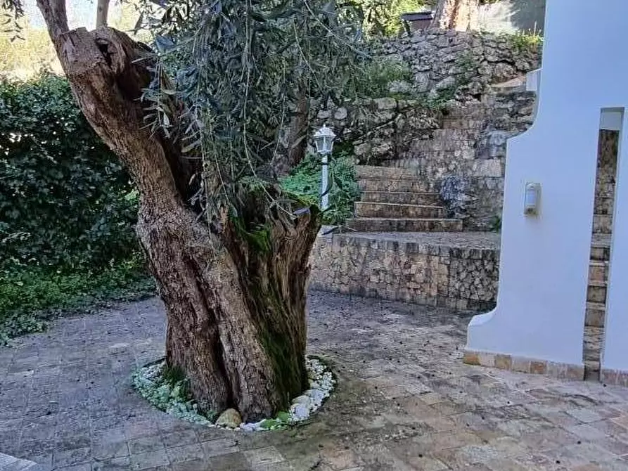 Immagine 35 di Villa in vendita  a San Giuliano Terme