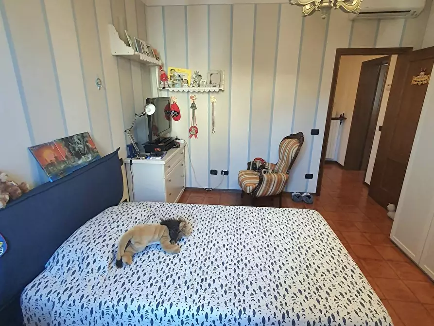 Immagine 59 di Casa semindipendente in vendita  a Capannori