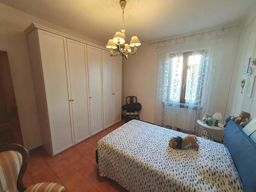 Immagine 58 di Casa semindipendente in vendita  a Capannori