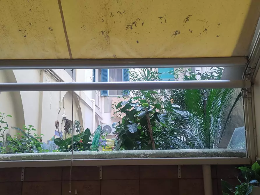 Immagine 18 di Appartamento in vendita  a Livorno