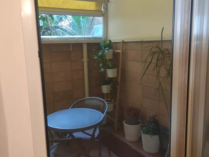 Immagine 16 di Appartamento in vendita  a Livorno